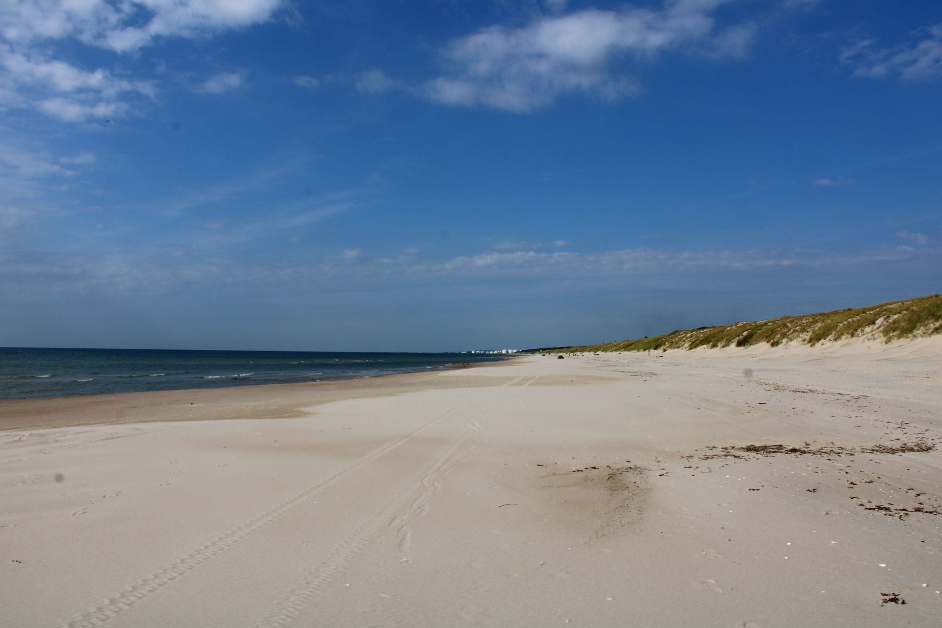 Słoneczna, pusta piaszczysta plaża nad Bałtykiem pod błękitnym niebem